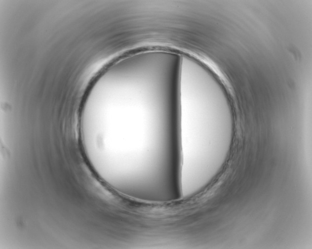 X0000091200791200708091039