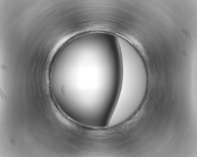X0000091200792200708091039