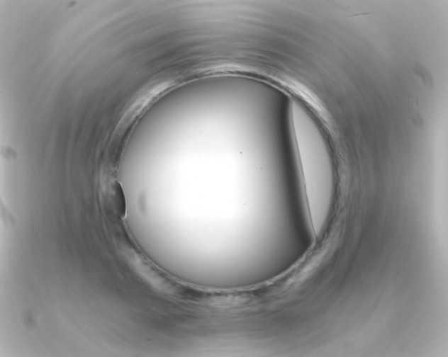 X0000091200793200708091039