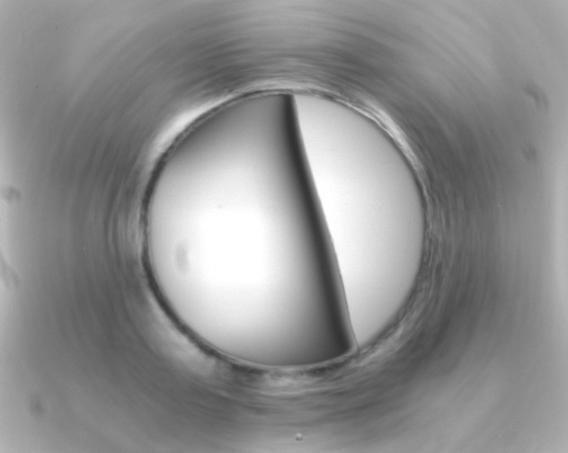 X0000091200795200708091039