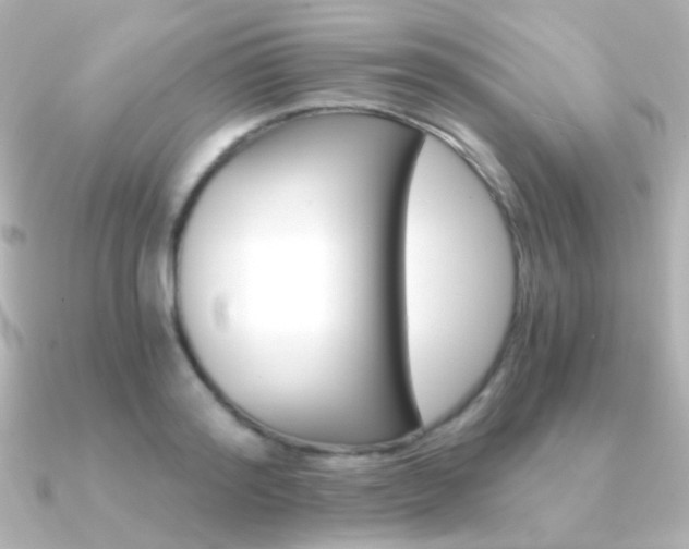 X0000091200796200708091039