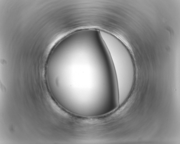 X0000091200797200708091039