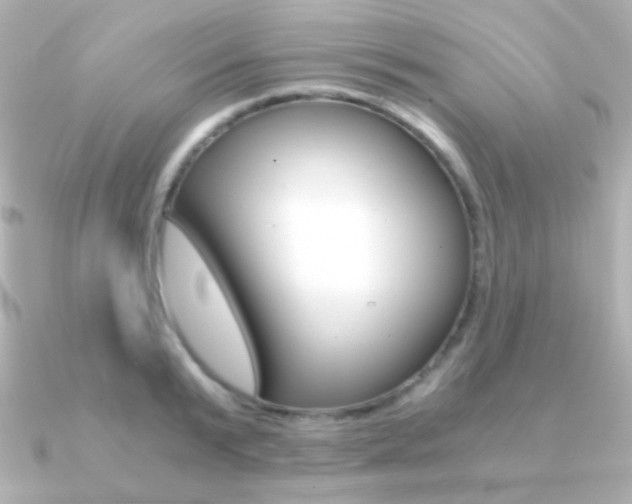 X0000091200799200708091039
