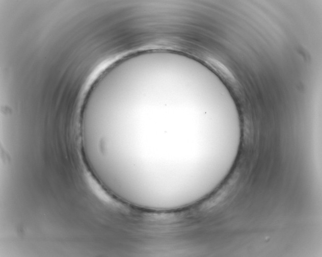X0000091200800200708091039