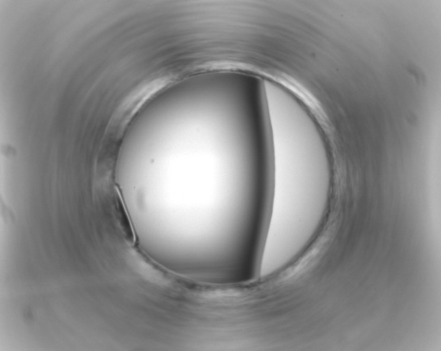 X0000091200801200708091039
