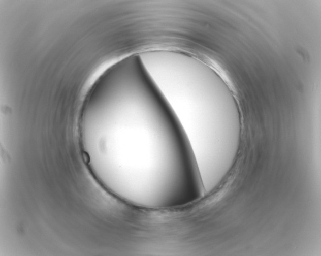X0000091200803200708091039