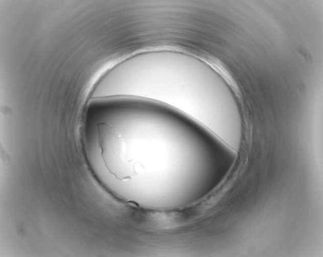 X0000091200805200708091039