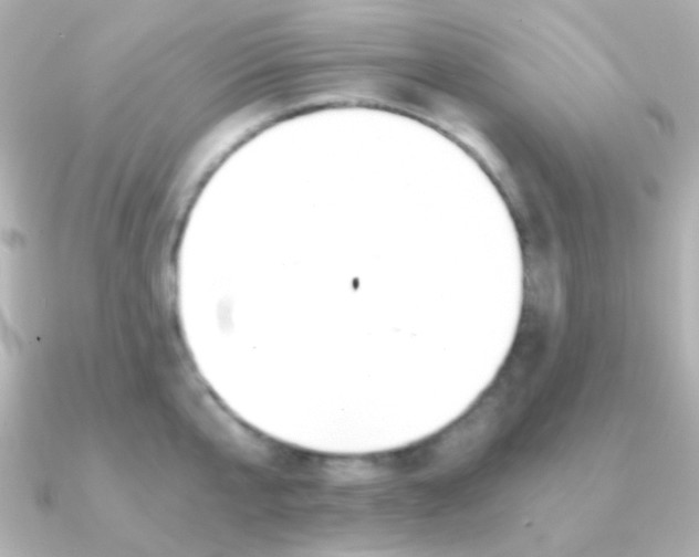 X0000091200807200708091039
