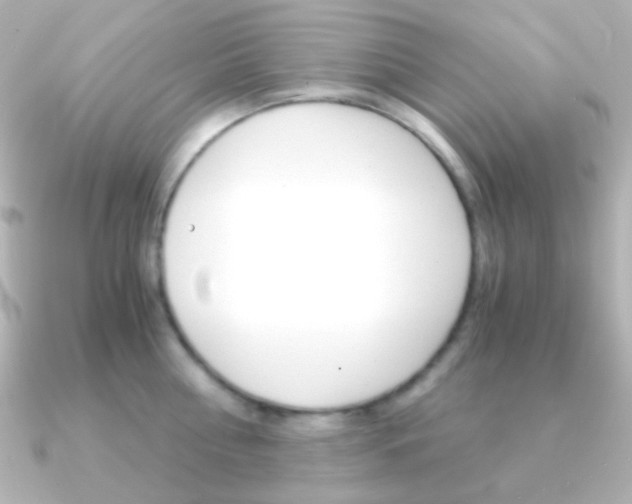 X0000091200810200708091039