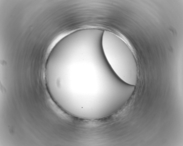 X0000091200811200708091039