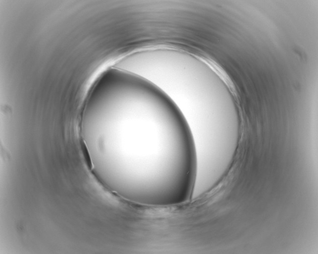 X0000091200813200708091039