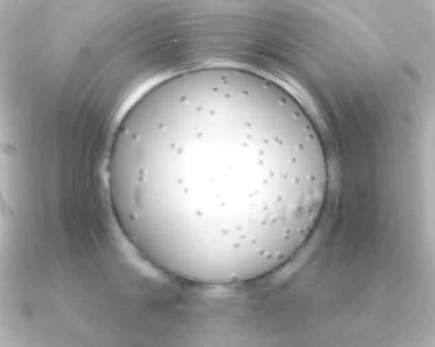 X0000091200814200708091039