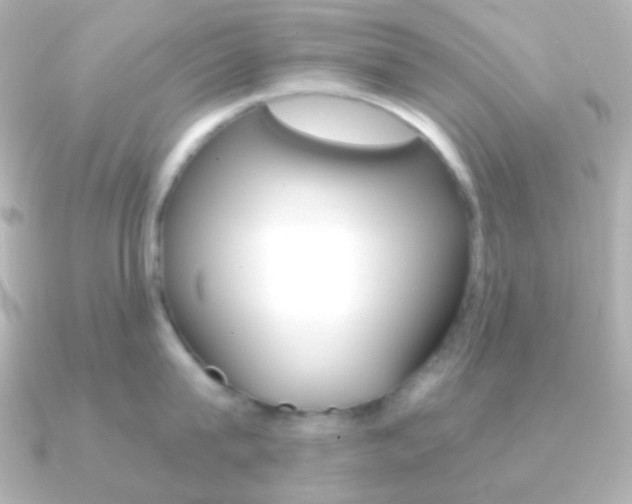 X0000091200815200708091039
