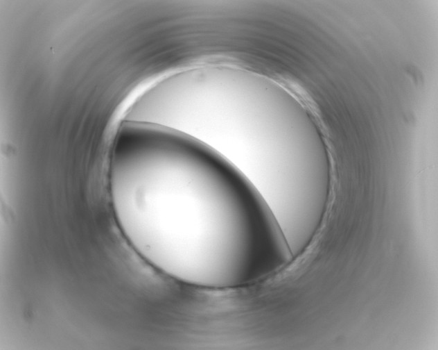 X0000091200816200708091039