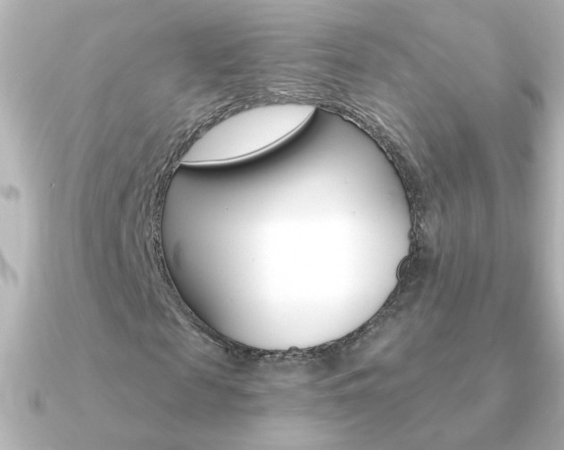 X0000091200817200708091038