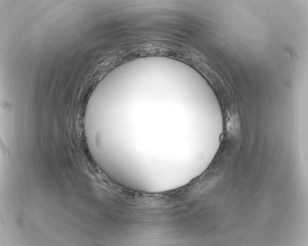 X0000091200819200708091038