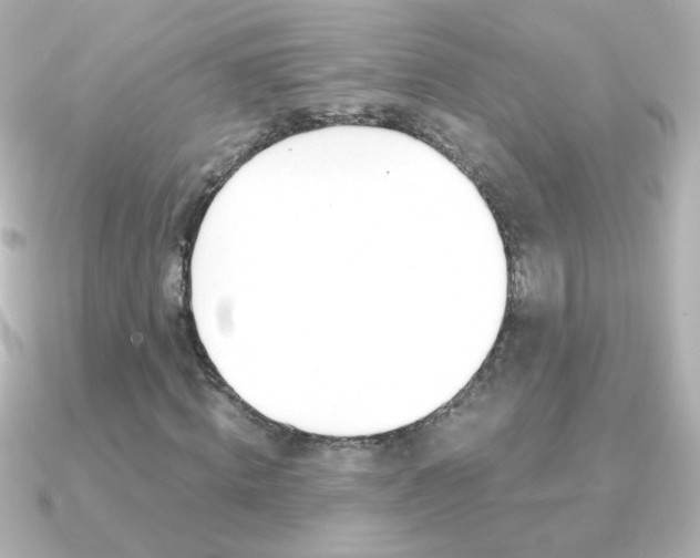 X0000091200820200708091038