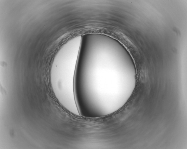 X0000091200821200708091038