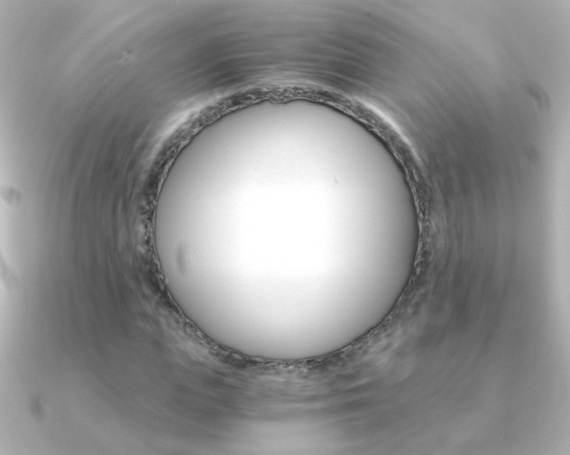 X0000091200823200708091038