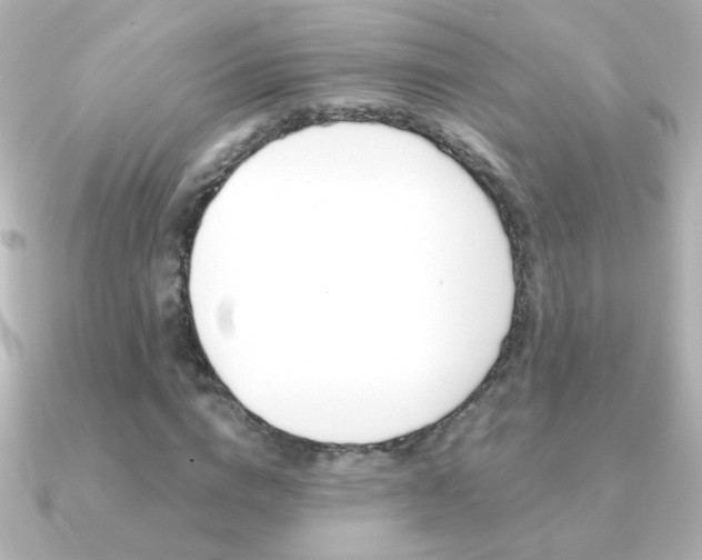 X0000091200824200708091038