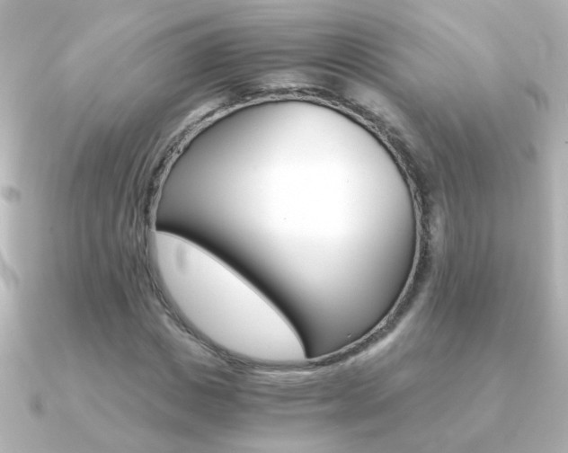 X0000091200825200708091038