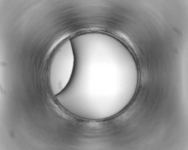 X0000091200827200708091038