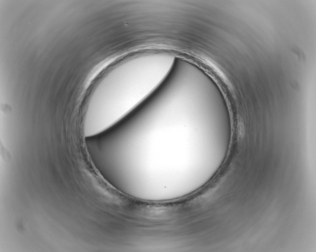 X0000091200829200708091038