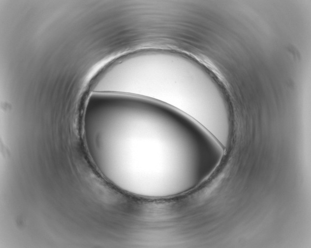 X0000091200830200708091038
