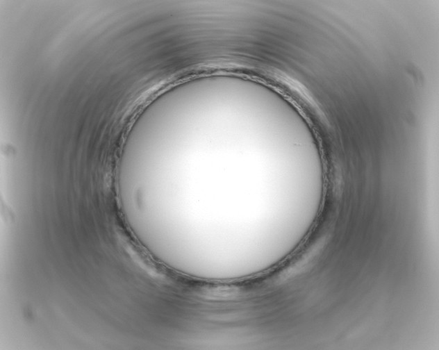 X0000091200833200708091038