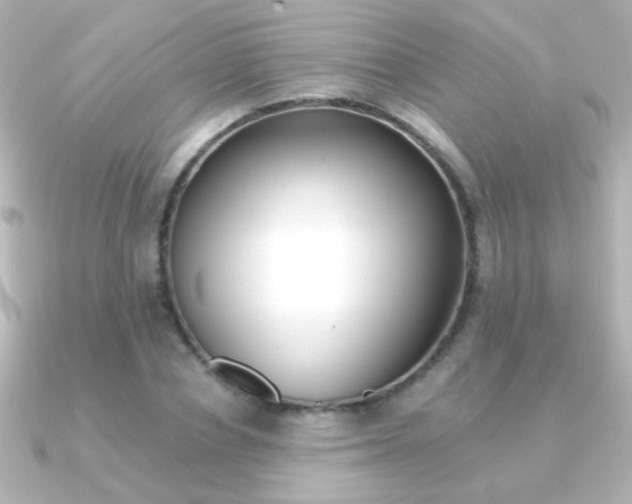 X0000091200834200708091038