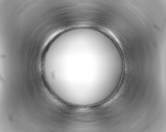 X0000091200835200708091038