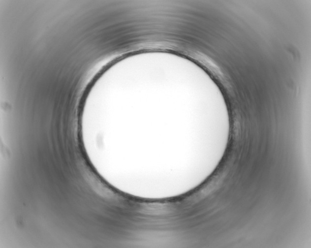 X0000091200836200708091038