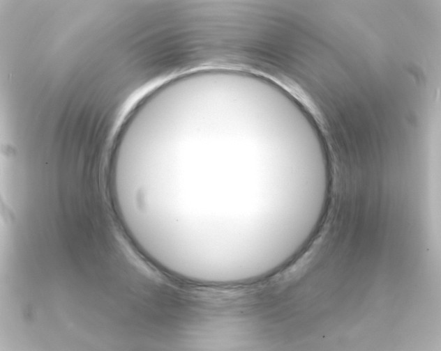 X0000091200838200708091038