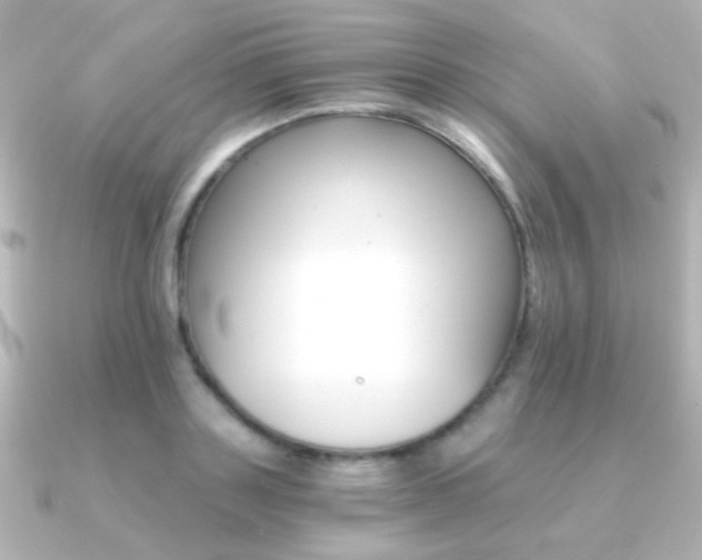 X0000091200843200708091038