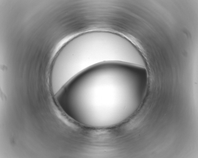 X0000091200846200708091038