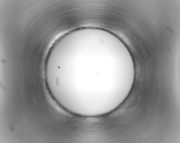 X0000091200848200708091038