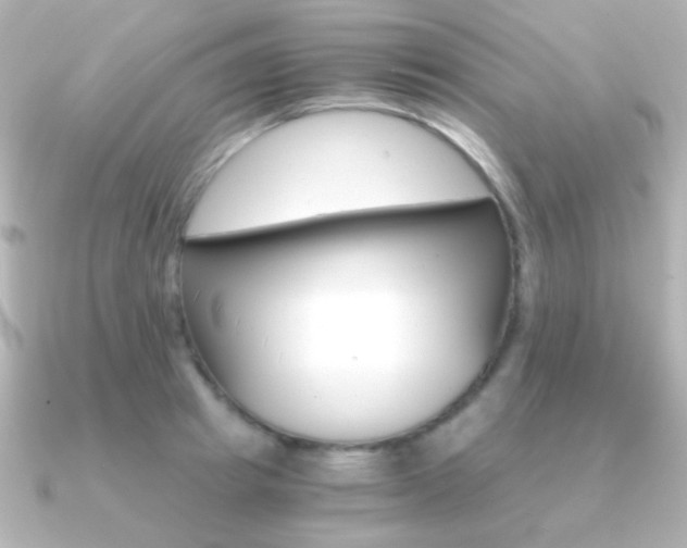 X0000091200849200708091038