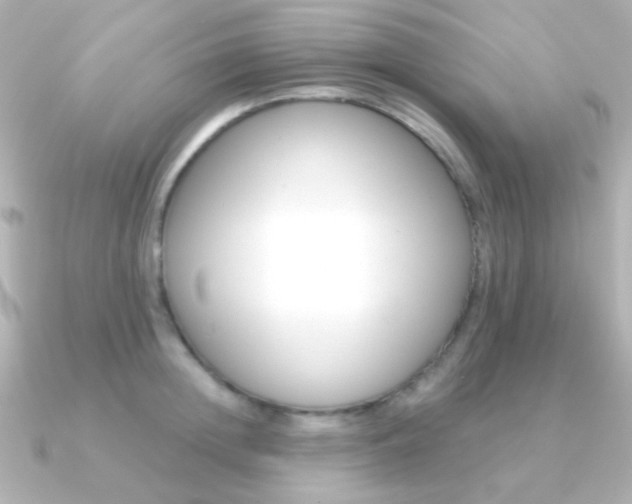 X0000091200852200708091038