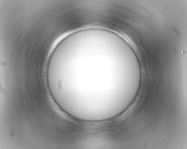 X0000091200854200708091039