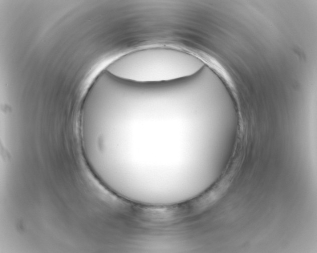 X0000091200855200708091039