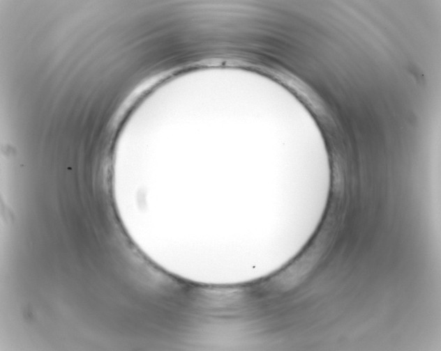 X0000091200856200708091039