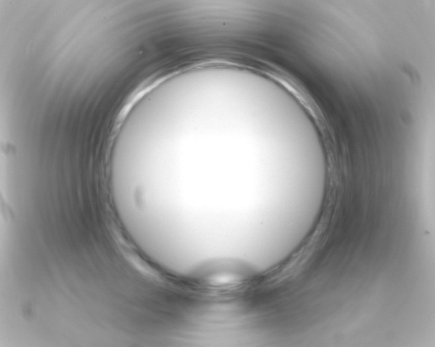 X0000091200858200708091039