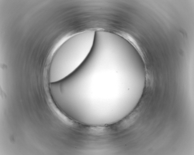 X0000091200859200708091039