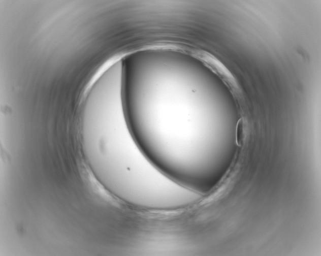 X0000091200860200708091039