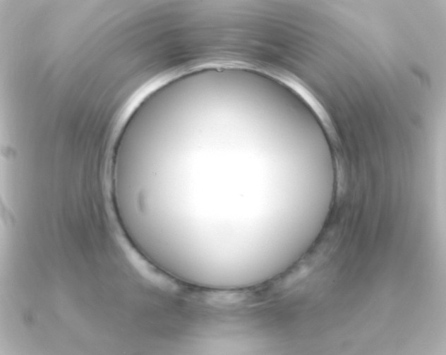 X0000091200861200708091039