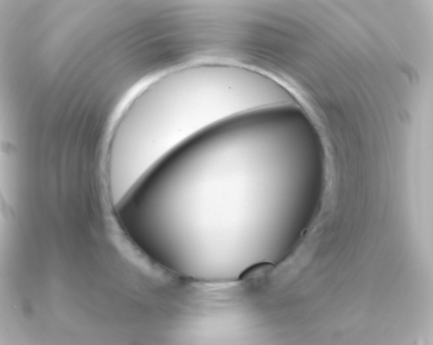 X0000091200864200708091039