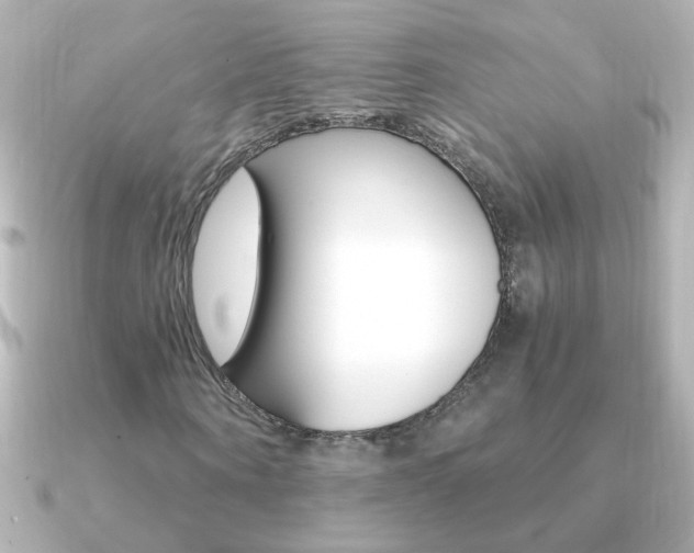 X0000091200866200708091038