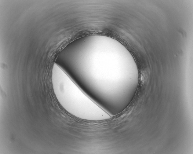 X0000091200867200708091038