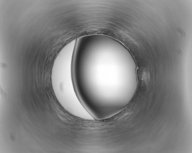 X0000091200868200708091038
