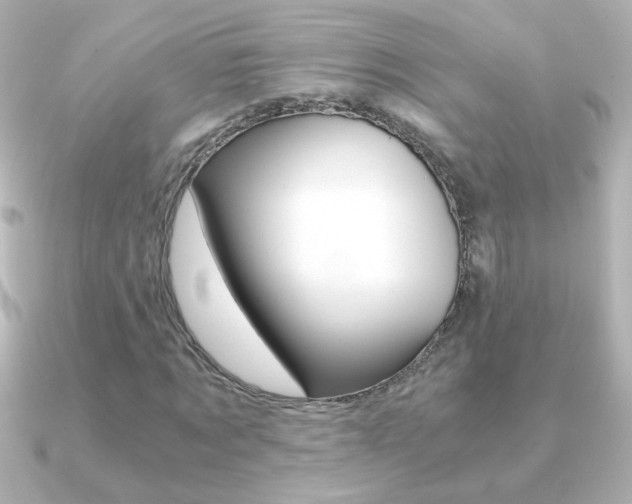 X0000091200869200708091038
